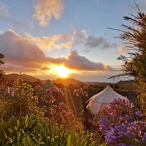 Tente de luxe Lotus Yurt, Tegueste